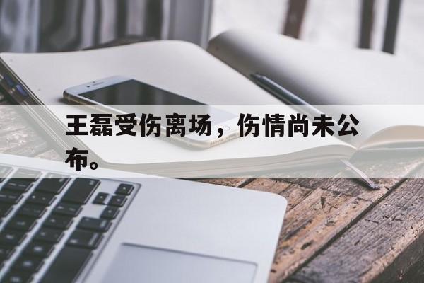 IMdianjing-王磊受伤离场，伤情尚未公布。