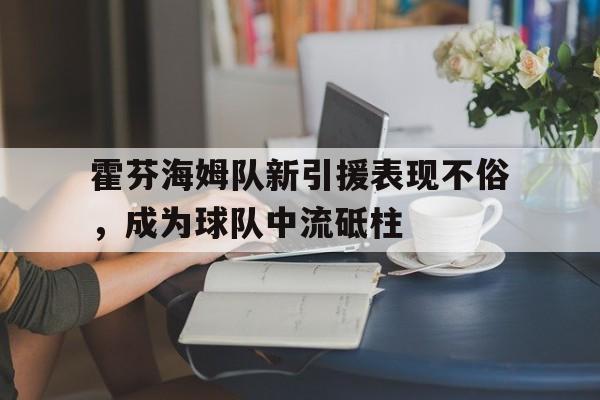 IM电竞app下载安装ios-霍芬海姆队新引援表现不俗，成为球队中流砥柱